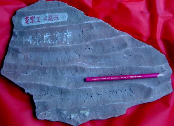 槽状交错层,微冲刷面,压扁层理,透镜状层理,波状层理,粒序层理(递变层