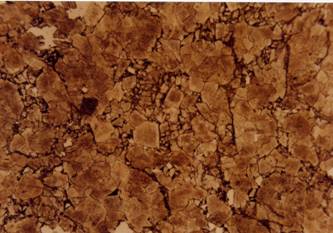 细晶白云岩,具雾心结构,飞仙关组,单偏光, ×10